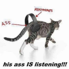 niya's big fat genre blend #4