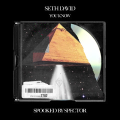 Seth David - You Know (Spooked By Spector)