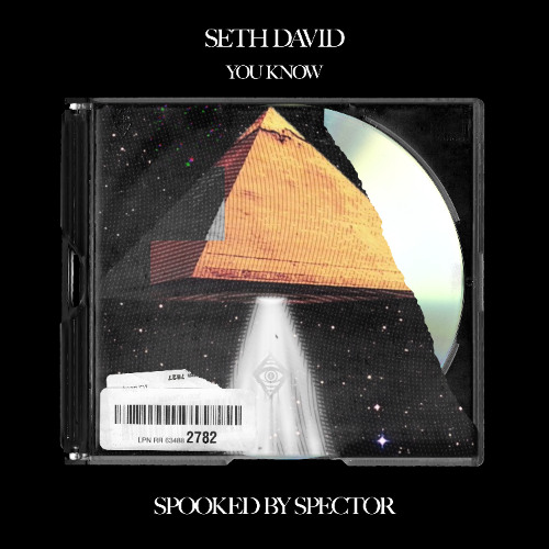 Seth David - You Know (Spooked By Spector)