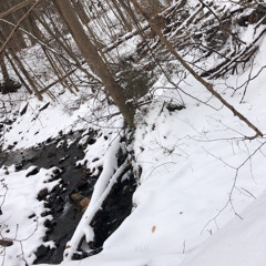 take me as you please cover