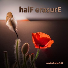 halF erasurE [naviarhaiku557]