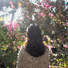 I keep looking at you