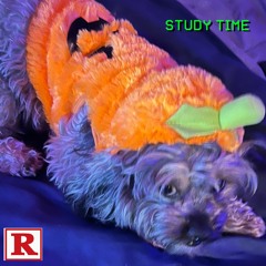 STUDY Time
