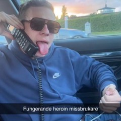 Pumpleffe Lir 2k24