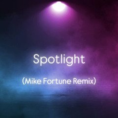 Spotlight (Mike Fortune Remix)
