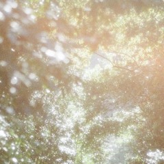 ૮︵ ‧⁺ sounds of spring ‿⋆︵౨
