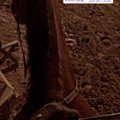 خل اللي درى يدري