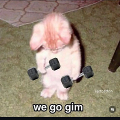 gymmm