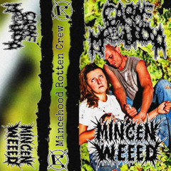 MINCE'N'WEED and CARNE MOLIDA SPLIT