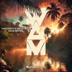 Ampermut, Diego Selva - El Cielo [WAYU]