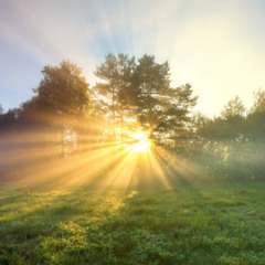 New Day