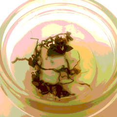 Reign Of Coincidences