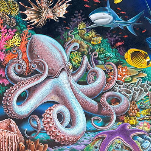 Bicycle Day Adventures In the Underwater Playground