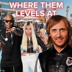 Where Them Girls At x Levels | Mashup - Avicii & David Guetta