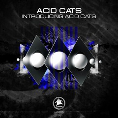 HD115 - Acid Cats Vs Brothers Ruin Ft Krystle - All About Love