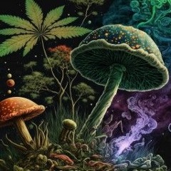 Shrooms_ a trip experience (320 kbps).mp3
