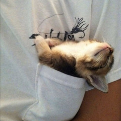 sleepypoo (prod. ashton)