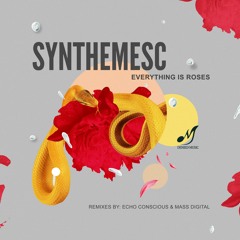 HSM PREMIERE | Synthemesc - Everything Is Roses (Echo Conscious' Mellotonic Dub) [Denied Music]