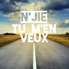 N'JIE - Tu m'en veux - Kompa version