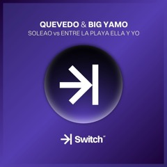 QUEVEDO & BIG YAMO - Soleao vs Entre La Playa Ella y Yo (RoyG Mashup) ->| SWITCH STUDIO 💜