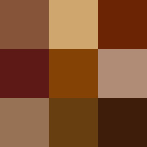 The Brown Tape (UnAuthorized Release)