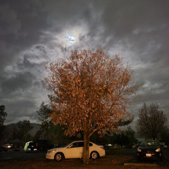 Gemini in BRC (Aug 10 2025) [Day 2 - v2.0]