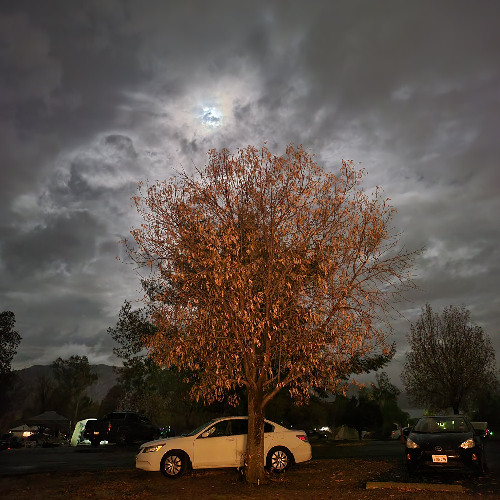 Gemini in BRC (Aug 10 2025) [Day 2 - v2.0]