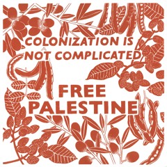 Voices on Gaza solidarity organizing in Montreal