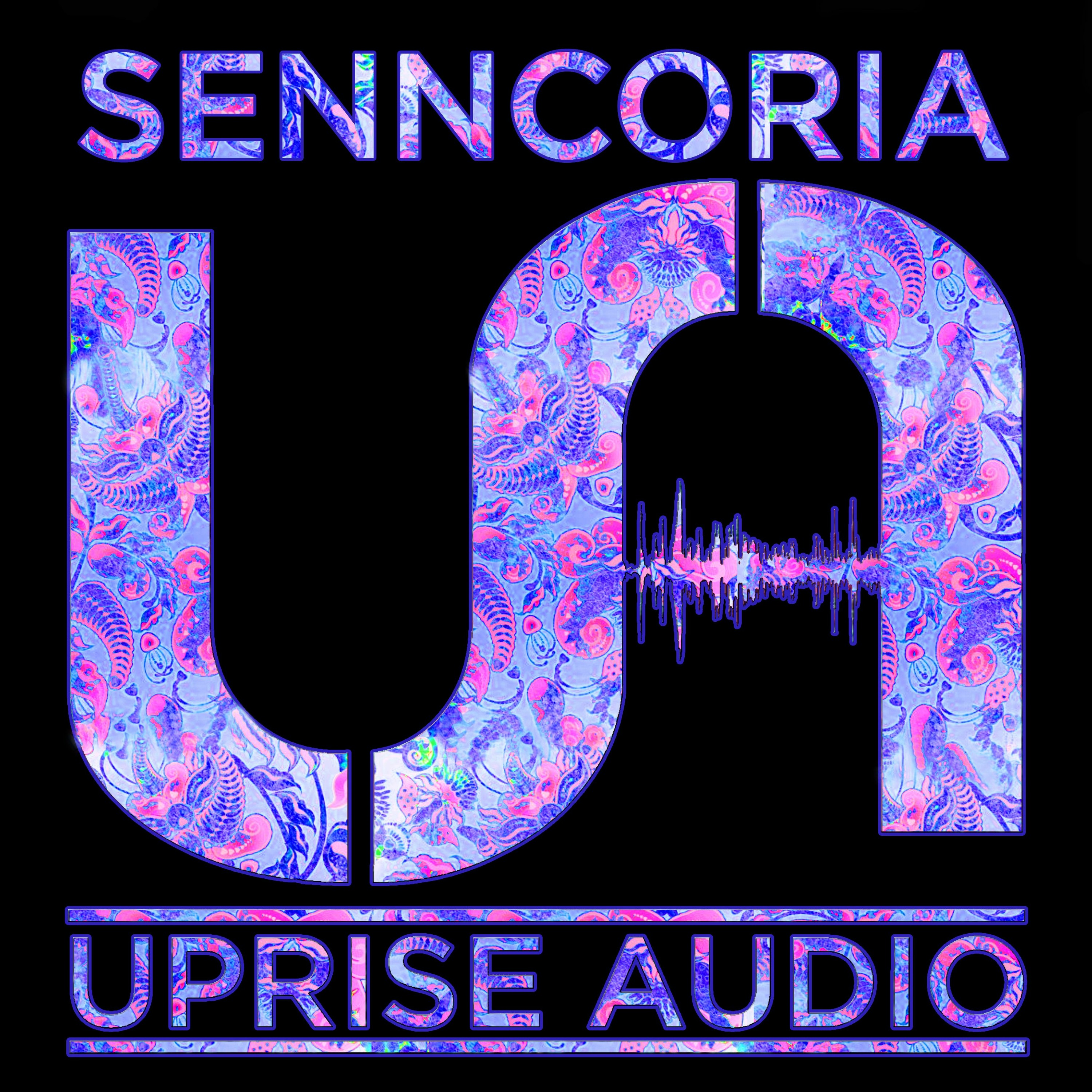 Senncoria - Pharaoh (UA041) [FKOF Promo] episode artwork