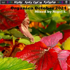 Organica October 2024: Mixed by Nigel S.