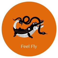 Feel Fly - Cosmo Cosmo [INT051] - Internasjonal - 12"