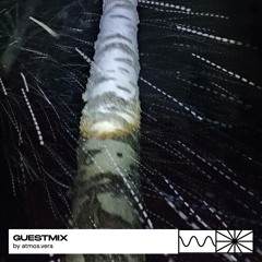 Guestmix 11/25 by atmos.vera