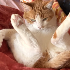 chillin in the dumpster