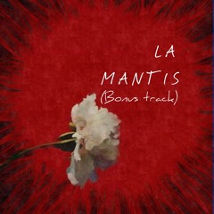 1. Botas, cinturón y sombrero