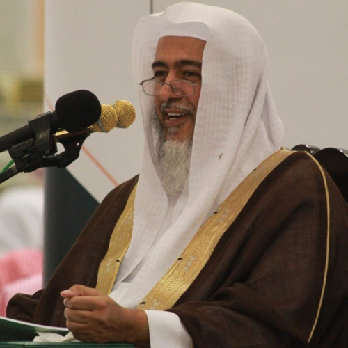 المنيرة في مهم علم السيرة - صالح العصيمي