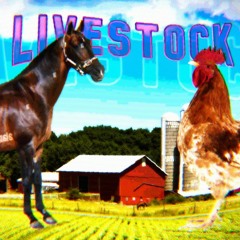 LIVESTOCK - Friday Night Funkin' OC Concept