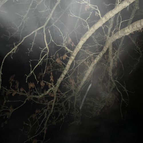 as nezinau + dom$e //prod verz