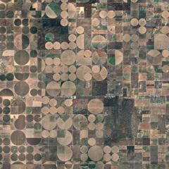 So Sorry (Not Sorry)