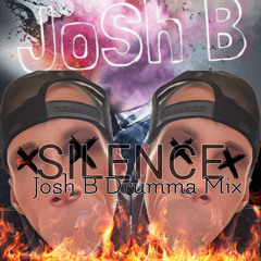 JOSH B - SileNcE (Josh B is a Drumma MiX).mp3