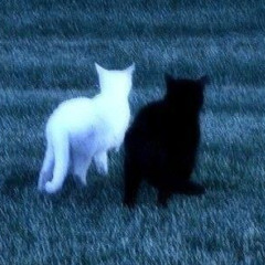 Sorena - Asayeshgah (Chill Remix By Pa9da)