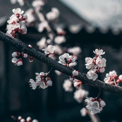 Tipp (prod. by Xhale)