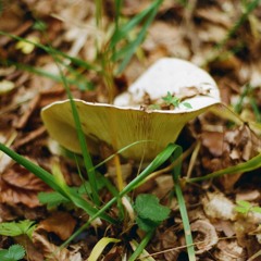 Circular Definitions 2.0 - Hypnotic Techno in Machines