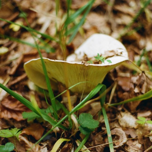 Circular Definitions 2.0 - Hypnotic Techno in Machines