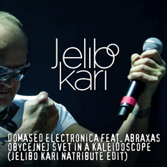 Domased Electronica feat. ABRAXAS - Obycejnej Svet In A Kaleidoscope (Jelibo Kari NaTribute Edit)