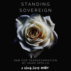 AAA - Standing Sovereign - DNB for Transformation