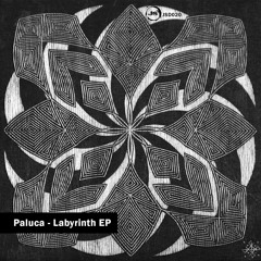 PALUCA - LABYRINTH (KODAMA RMX) (JSD020) - OUT NOW