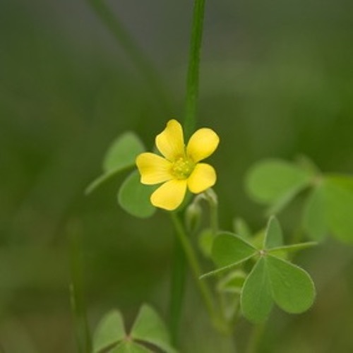 It Will Never Be The Same Again