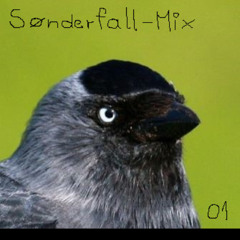 SØNDERFALL - DOLENMIX