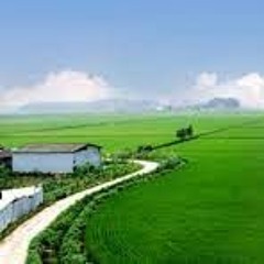 farmlands