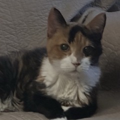 Justice may have come